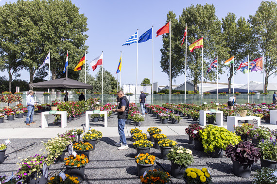 FlowerTrials